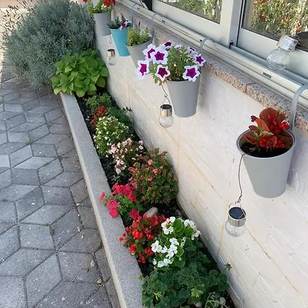 Διαμέρισμα Mirjana *