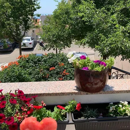 Mirjana Μακάρσκα